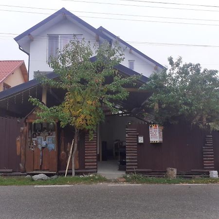 Casa Denisa Vidraru Transfgarasan Hotel Capatineni-Ungureni ภายนอก รูปภาพ