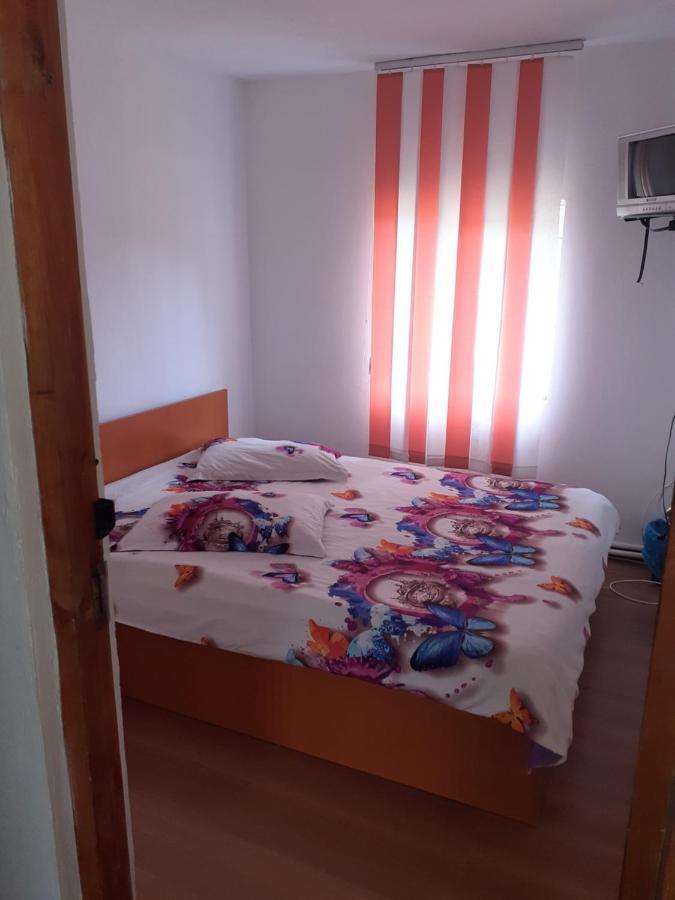 Casa Denisa Vidraru Transfgarasan Hotel Capatineni-Ungureni ภายนอก รูปภาพ
