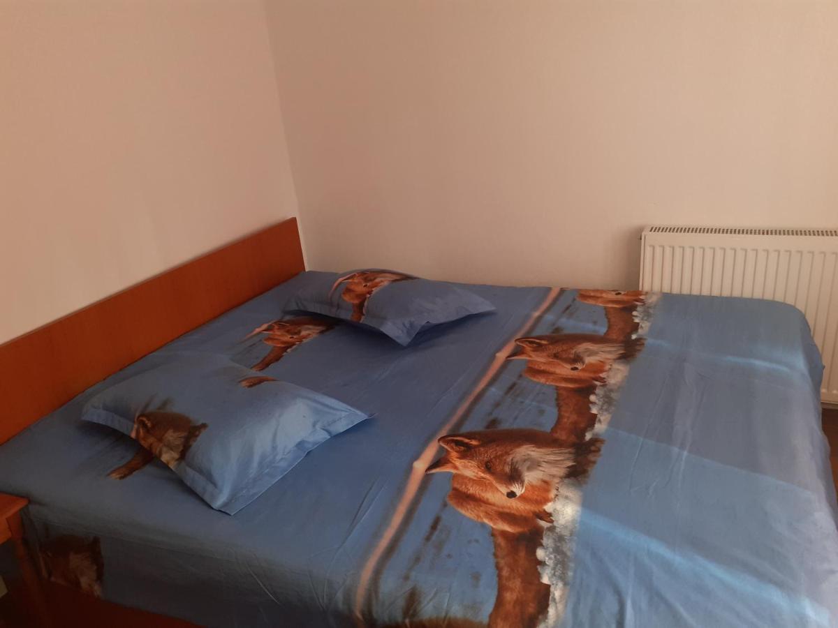 Casa Denisa Vidraru Transfgarasan Hotel Capatineni-Ungureni ภายนอก รูปภาพ