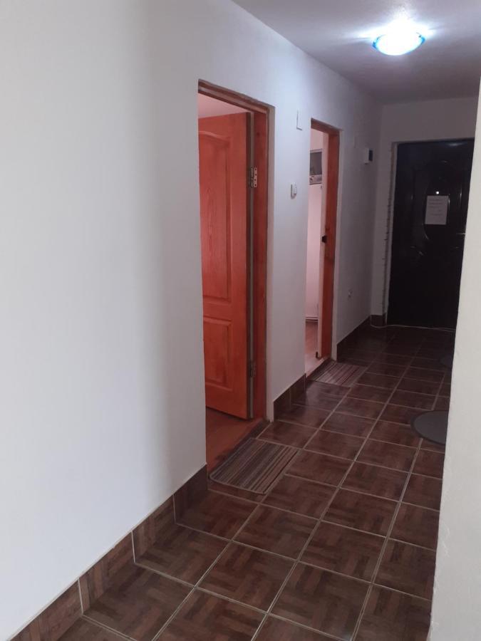 Casa Denisa Vidraru Transfgarasan Hotel Capatineni-Ungureni ภายนอก รูปภาพ