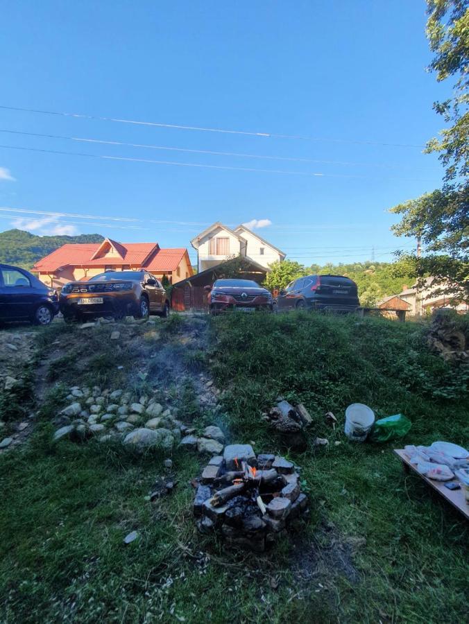 Casa Denisa Vidraru Transfgarasan Hotel Capatineni-Ungureni ภายนอก รูปภาพ