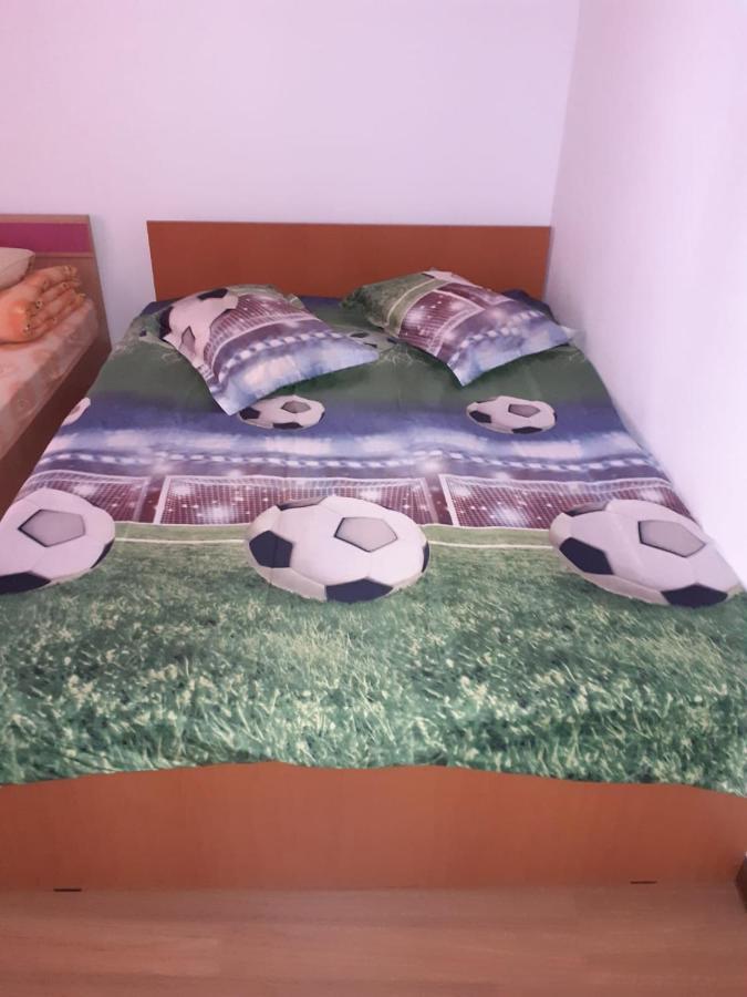 Casa Denisa Vidraru Transfgarasan Hotel Capatineni-Ungureni ภายนอก รูปภาพ